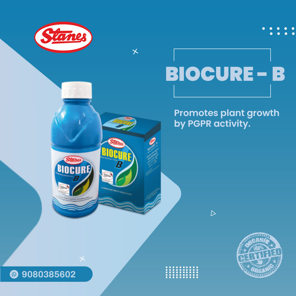 BioCure-B Image